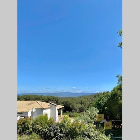 Le Soleil Du Lac Parking Privatif 100 M Du Lac Villa Carcassonne Eksteriør bilde